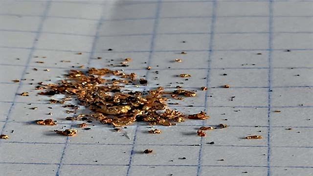 Микрочастички золота, выделенные из килограммового куска гётитизированной и каолинизированной коры выветривания бурого цвета. Вес — 137,0 мг (137,0 граммов на тонну)