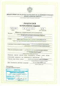 Лицензия на пользование недрами
