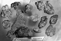 Золотые самородки Кулара